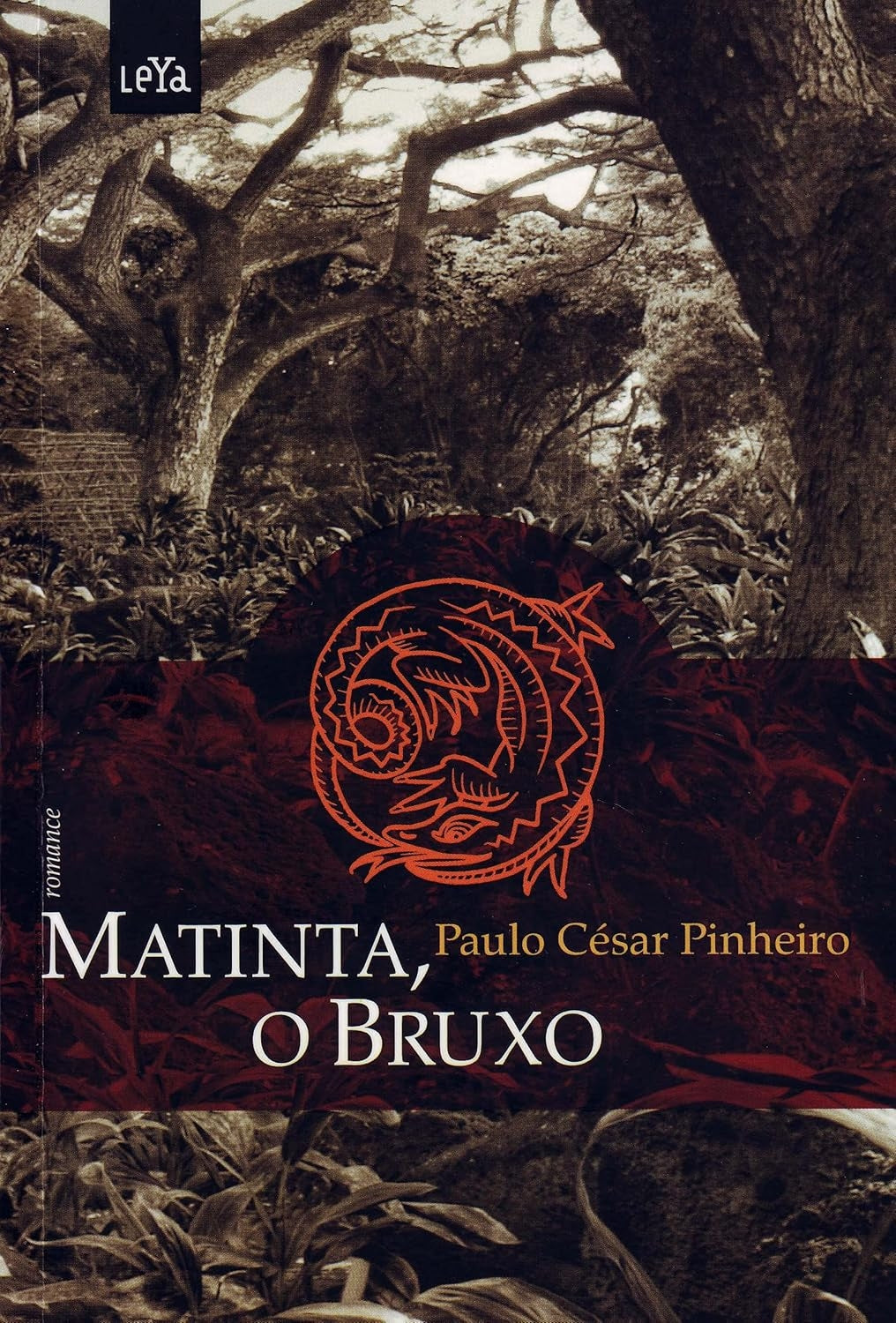 Matinta o Bruxo