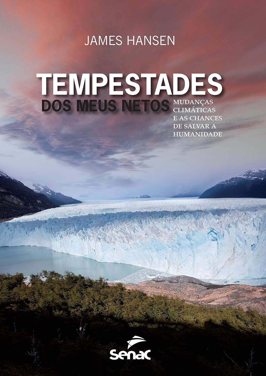 Tempestades dos Meus Netos : Mudanças Climáticas e as Chances de Salvar a Humanidade