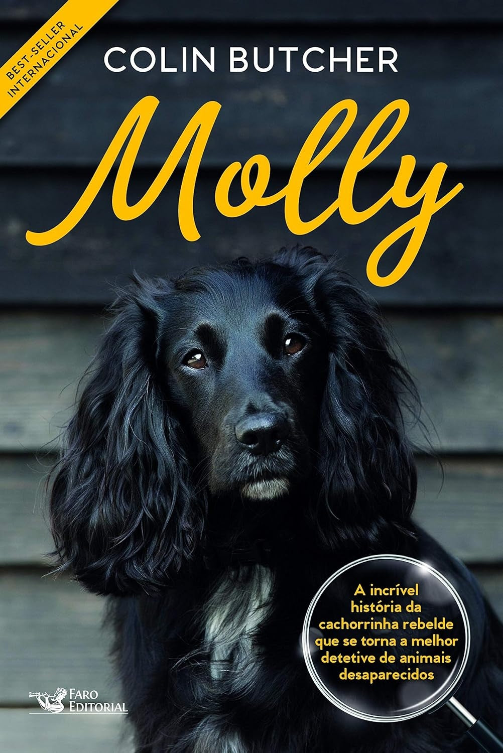 Molly: a Incrível História da Cachorrinha Rebelde que Se Tornou a Melhor Detetive de Animais Desaparecidos