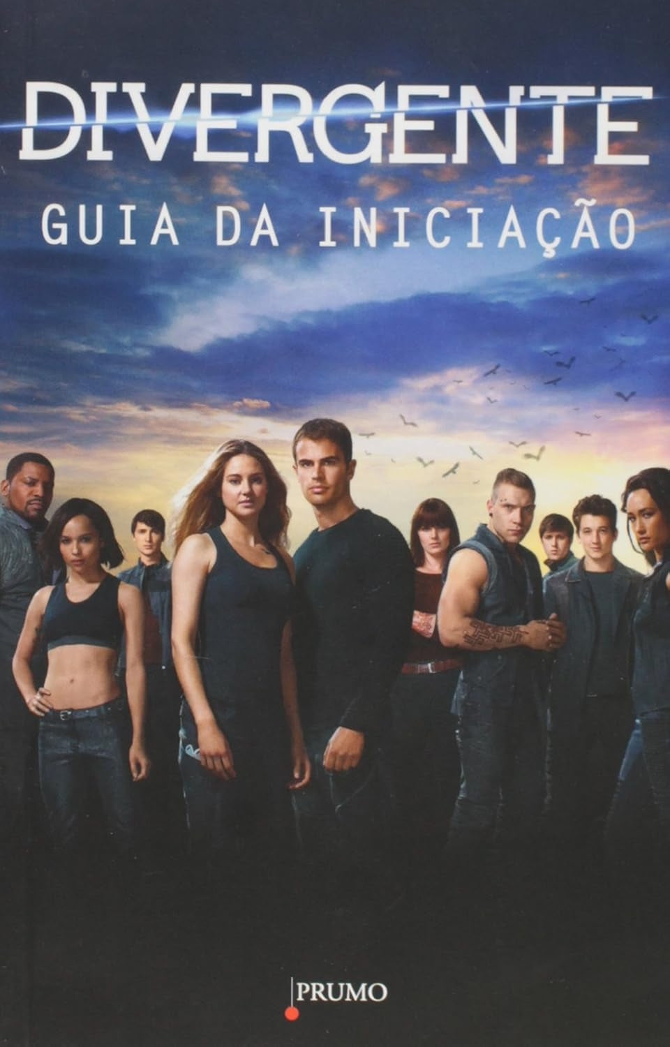 Divergente - Guia da Iniciação (coleção: Divergente - Guia da Iniciação - Vol.1)