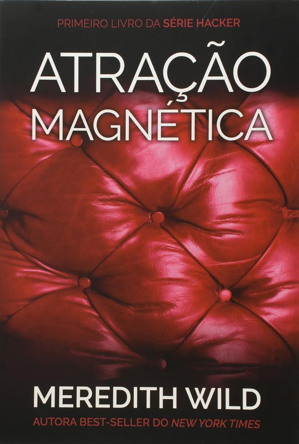 Atração Magnética (coleção Hacker Series Vol.1)