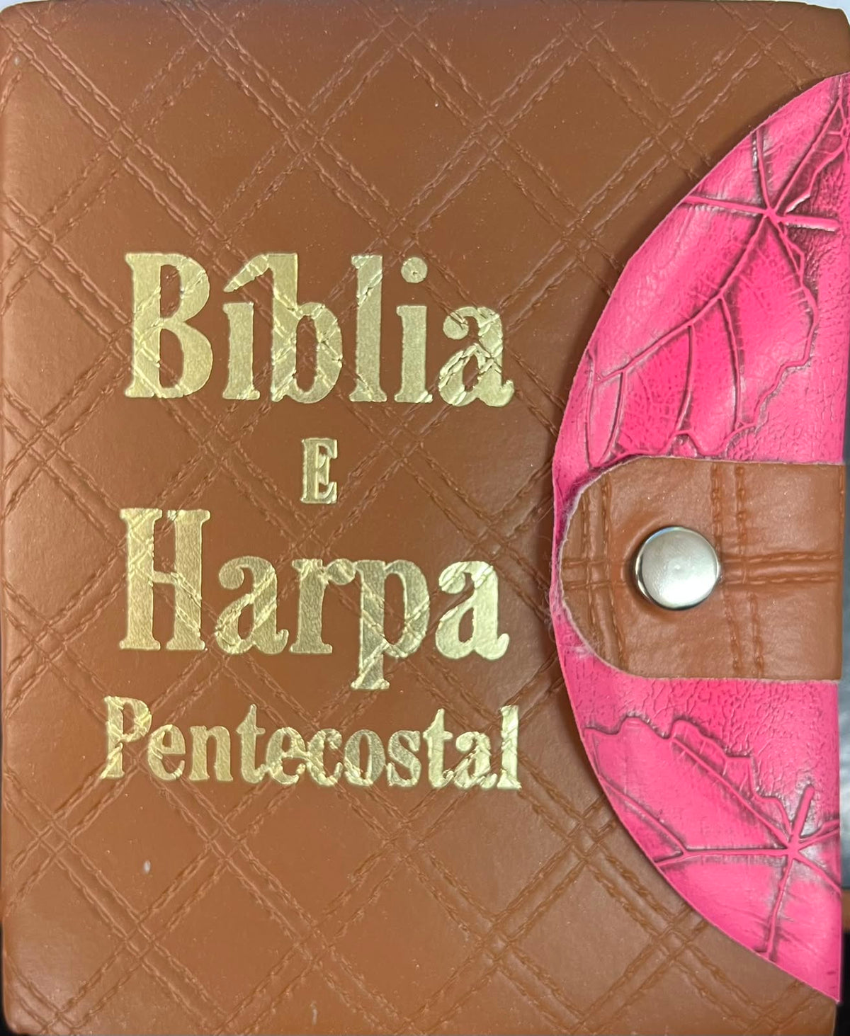Bíblia e Harpa Petencostal