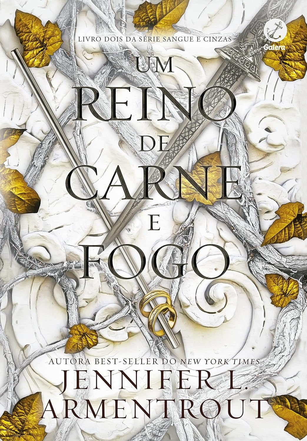 Um Reino de Carne e Fogo (coleção: Sangue e Cinzas - Vol.2)
