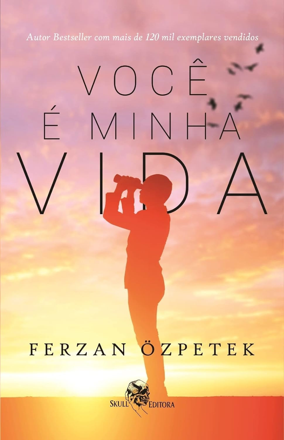 Você é Minha Vida