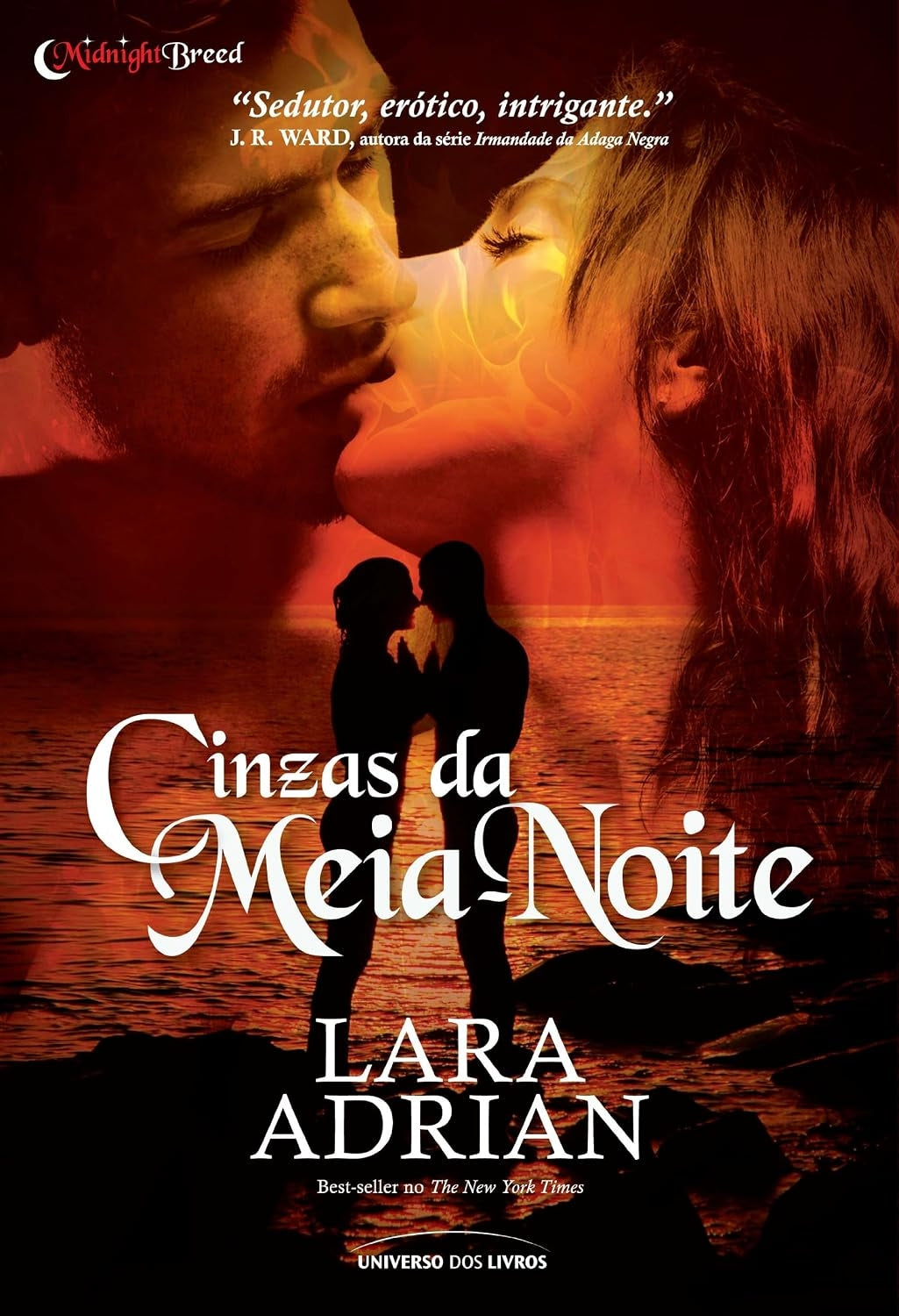 Cinzas da Meia-noite (coleção: Midnight Breed- Vol.6)