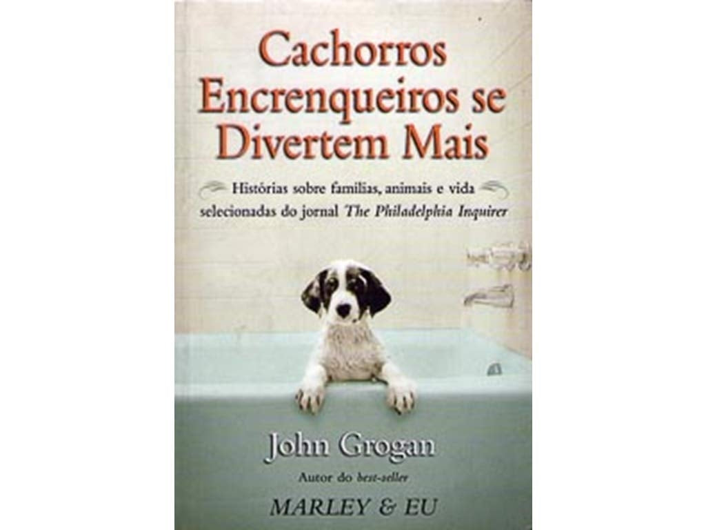 Cachorros Encrenqueiros Se Divertem Mais
