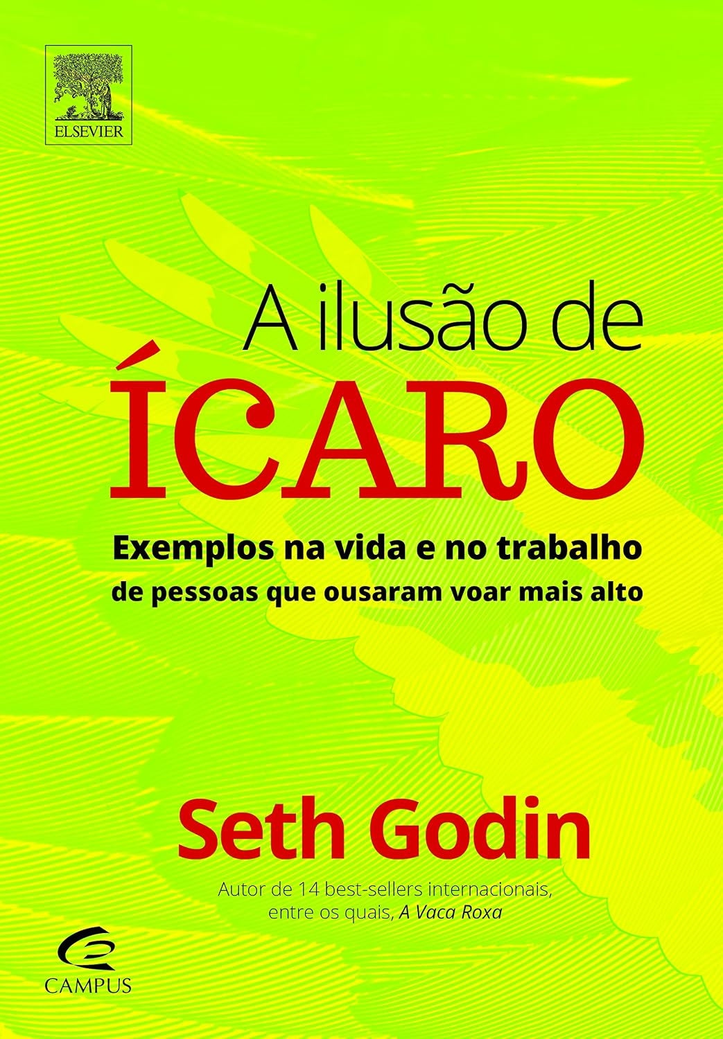A Ilusão de Ícaro