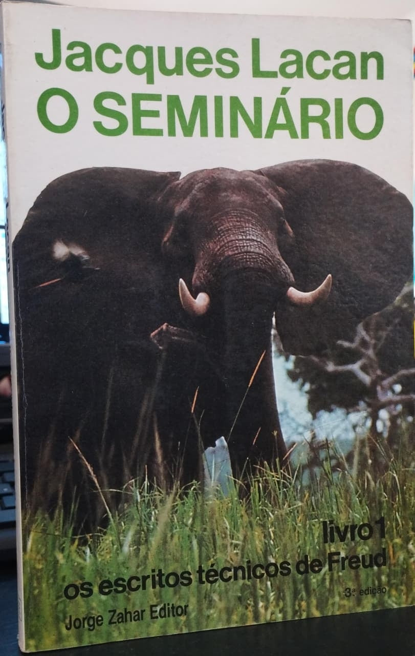O Seminário, Livro 1: os Escritos Técnicos de Freud