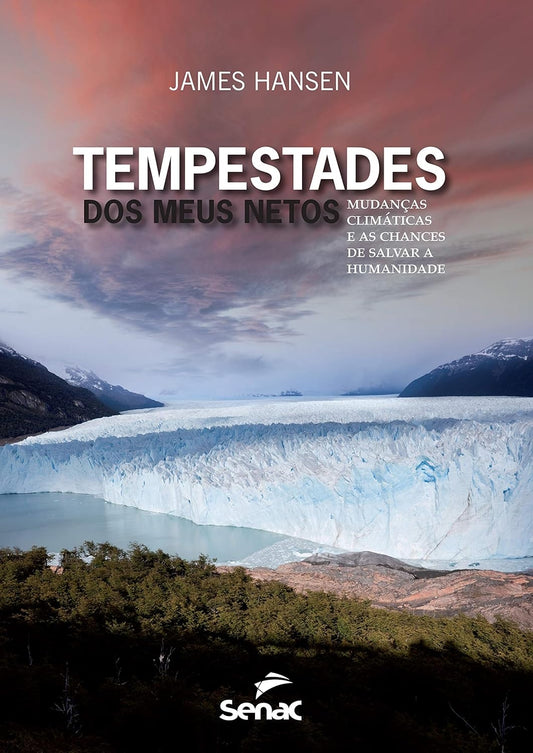 Tempestades dos Meus Netos : Mudanças Climáticas e as Chances de Salvar a Humanidade
