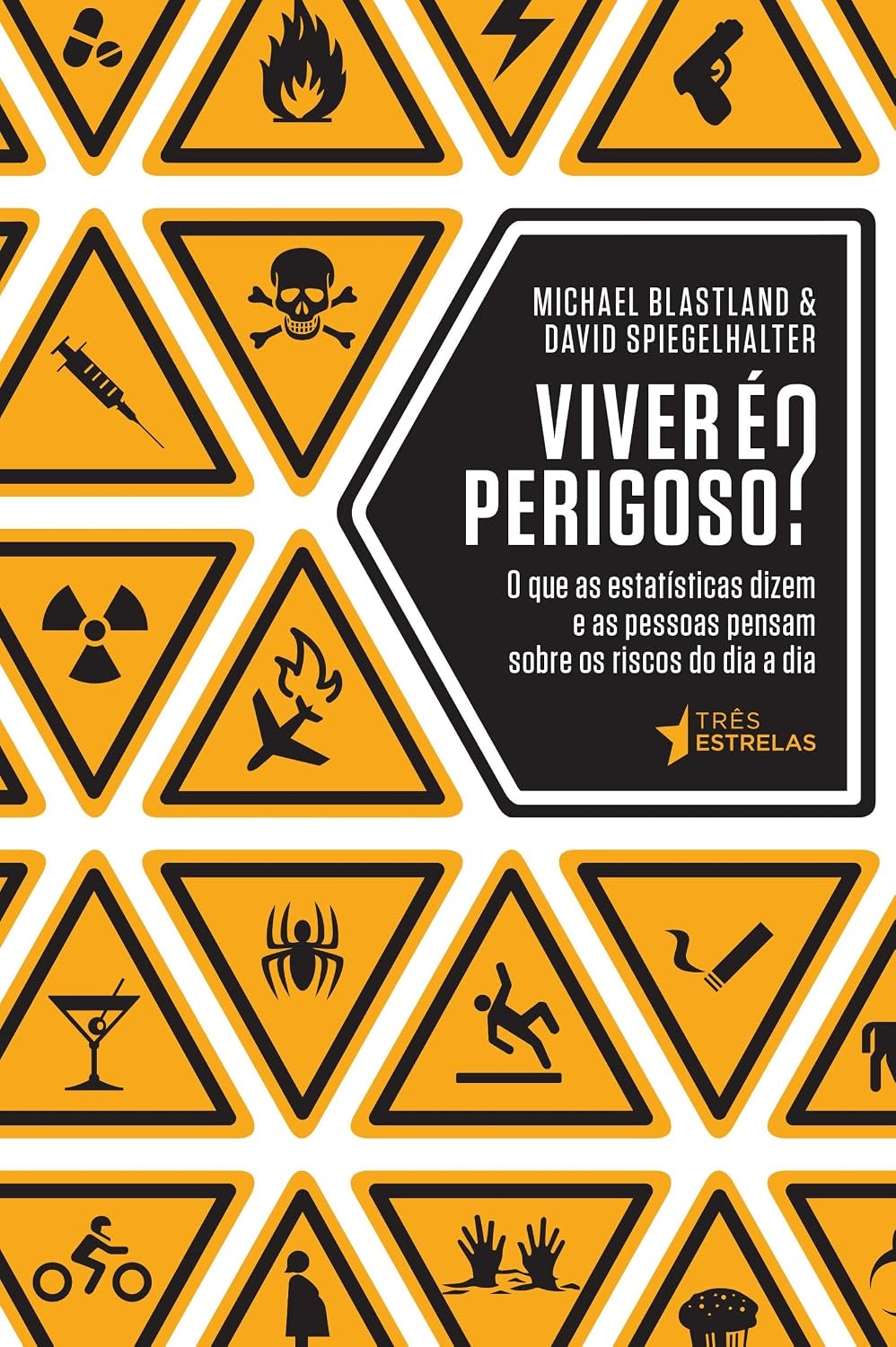 Viver é Perigoso?: o que as Estatísticas Dizem e as Pessoas Pensam Sobre os Riscos do Dia a Dia