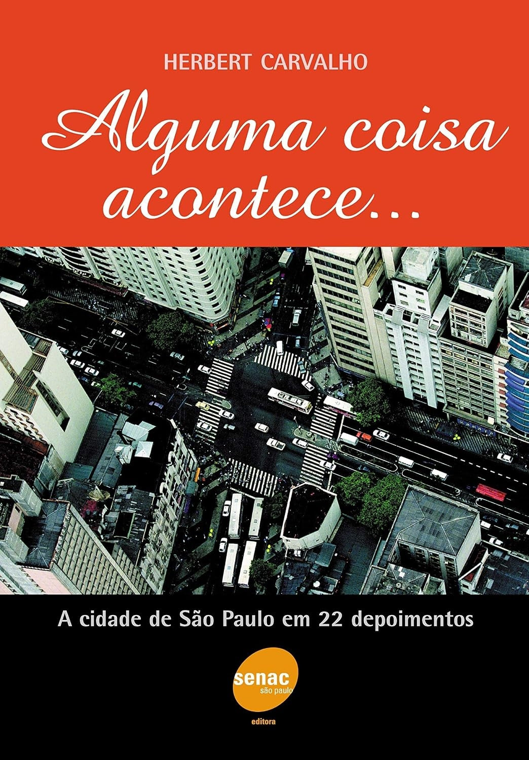 Alguma Coisa Acontece: a Cidade de São Paulo em 22 Depoimentos