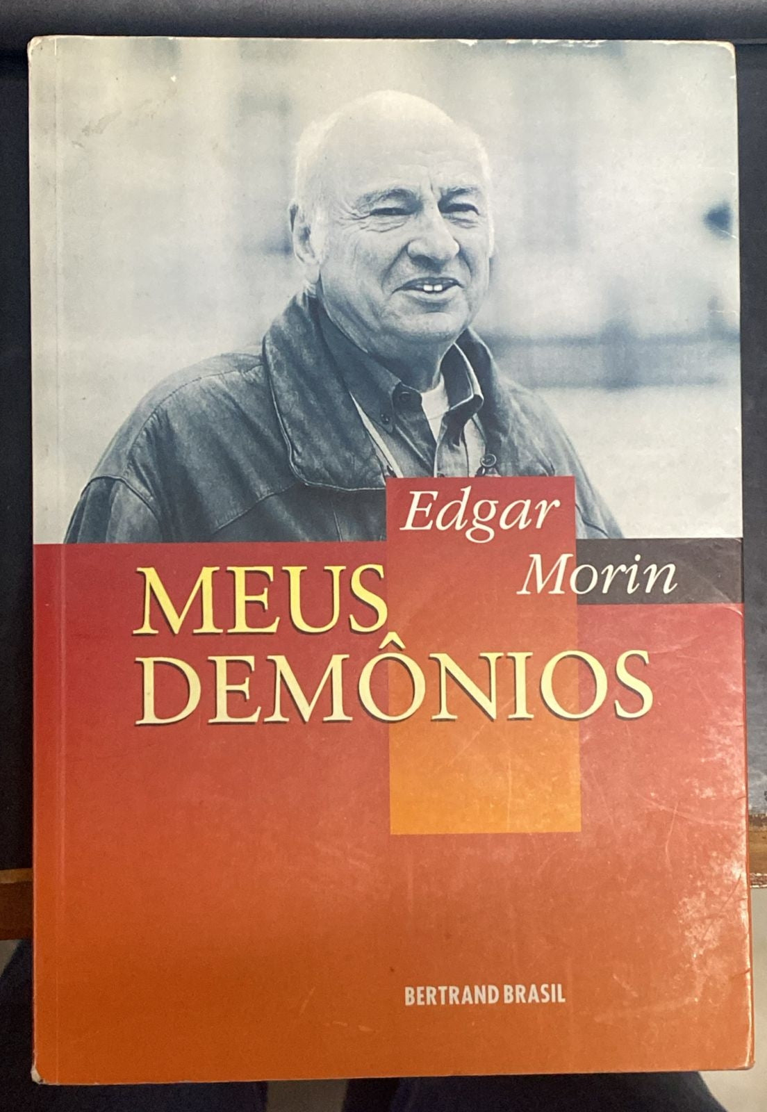 Meus Demônios