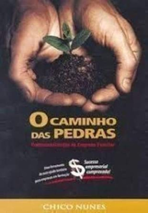 O Caminho das Pedras. Profissionalização da Empresa Familiar