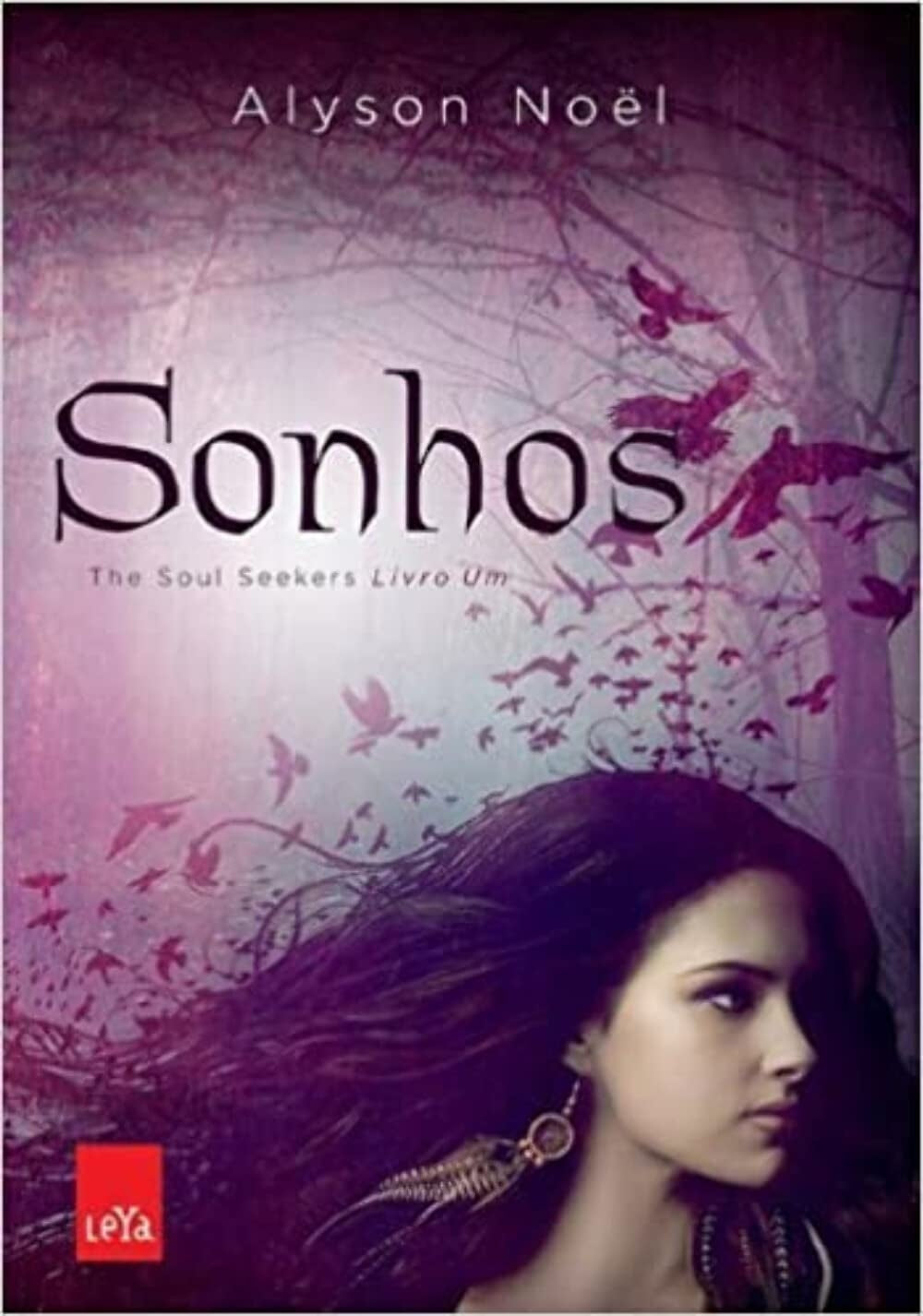Sonhos (coleção: The Soul Seekers - Vol.1)