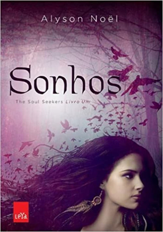 Sonhos (coleção: The Soul Seekers - Vol.1)