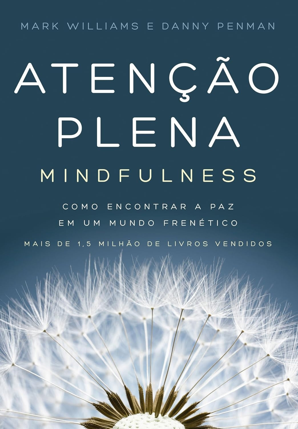 Atenção Plena (mindfulness):