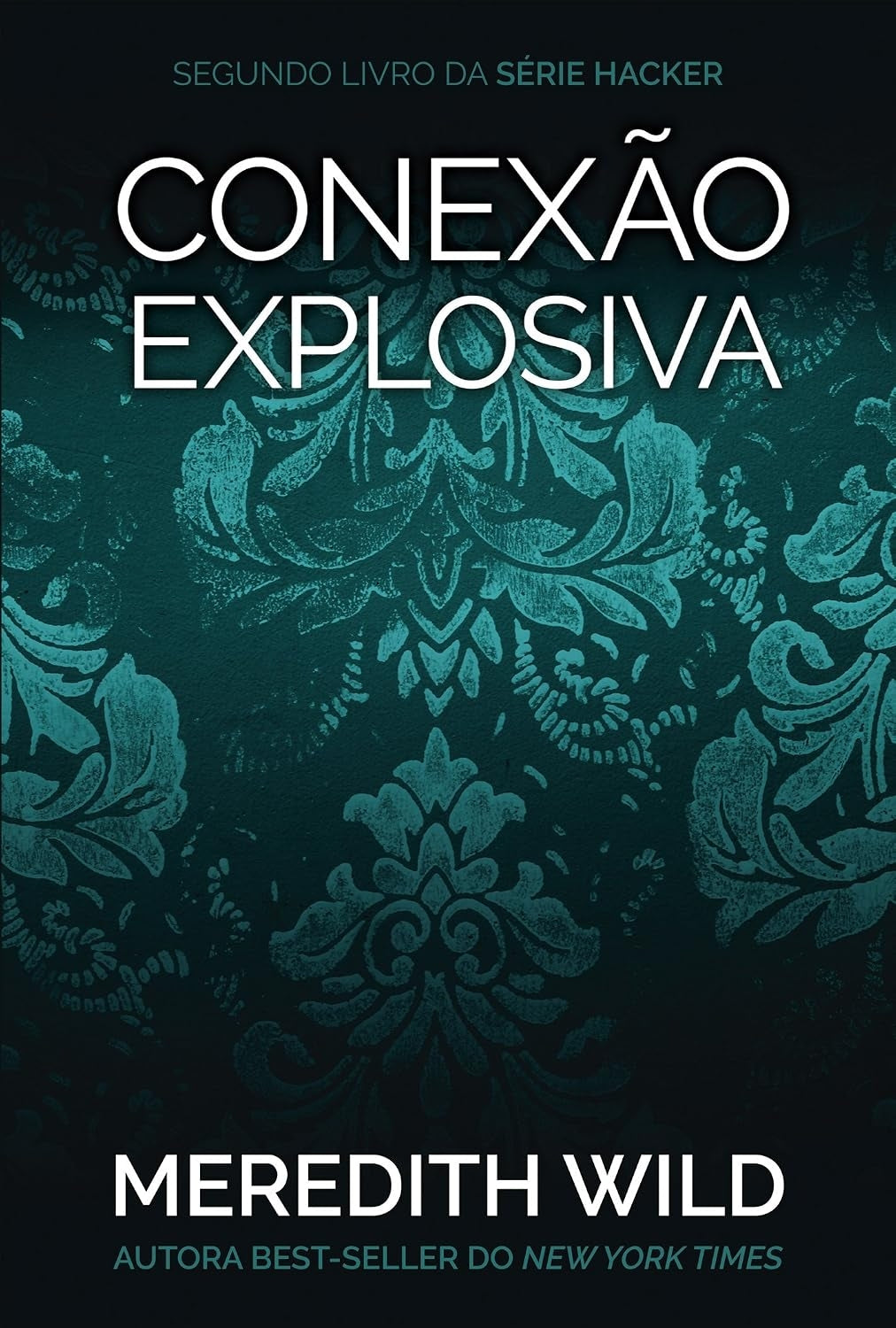 Conexão Explosiva (coleção: Hacker Series - Vol.2)