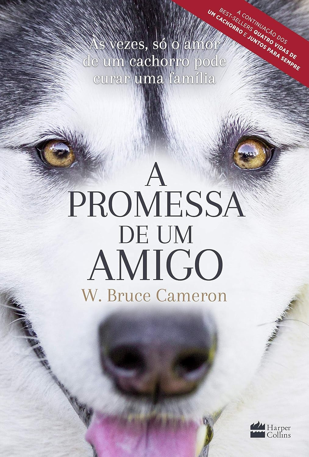 A Promessa de um Amigo