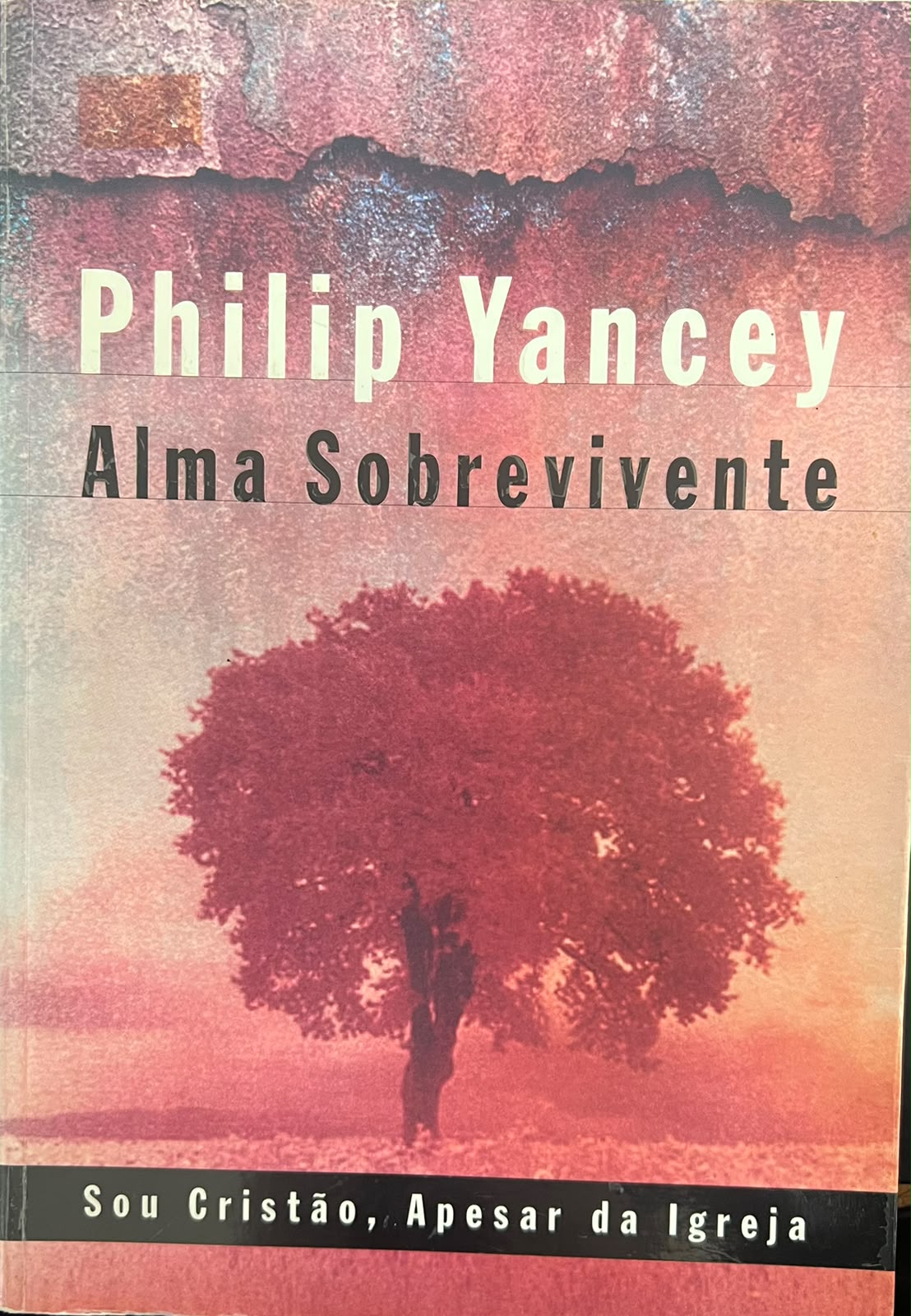 Alma Sobrevivente