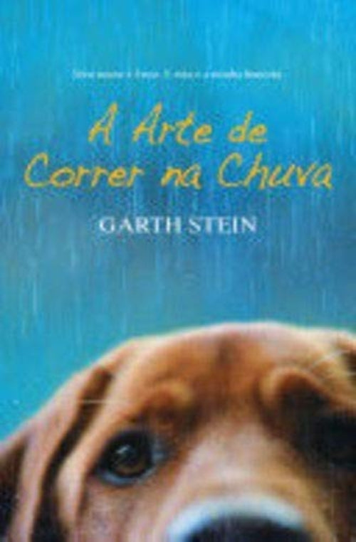 A Arte de Correr na Chuva