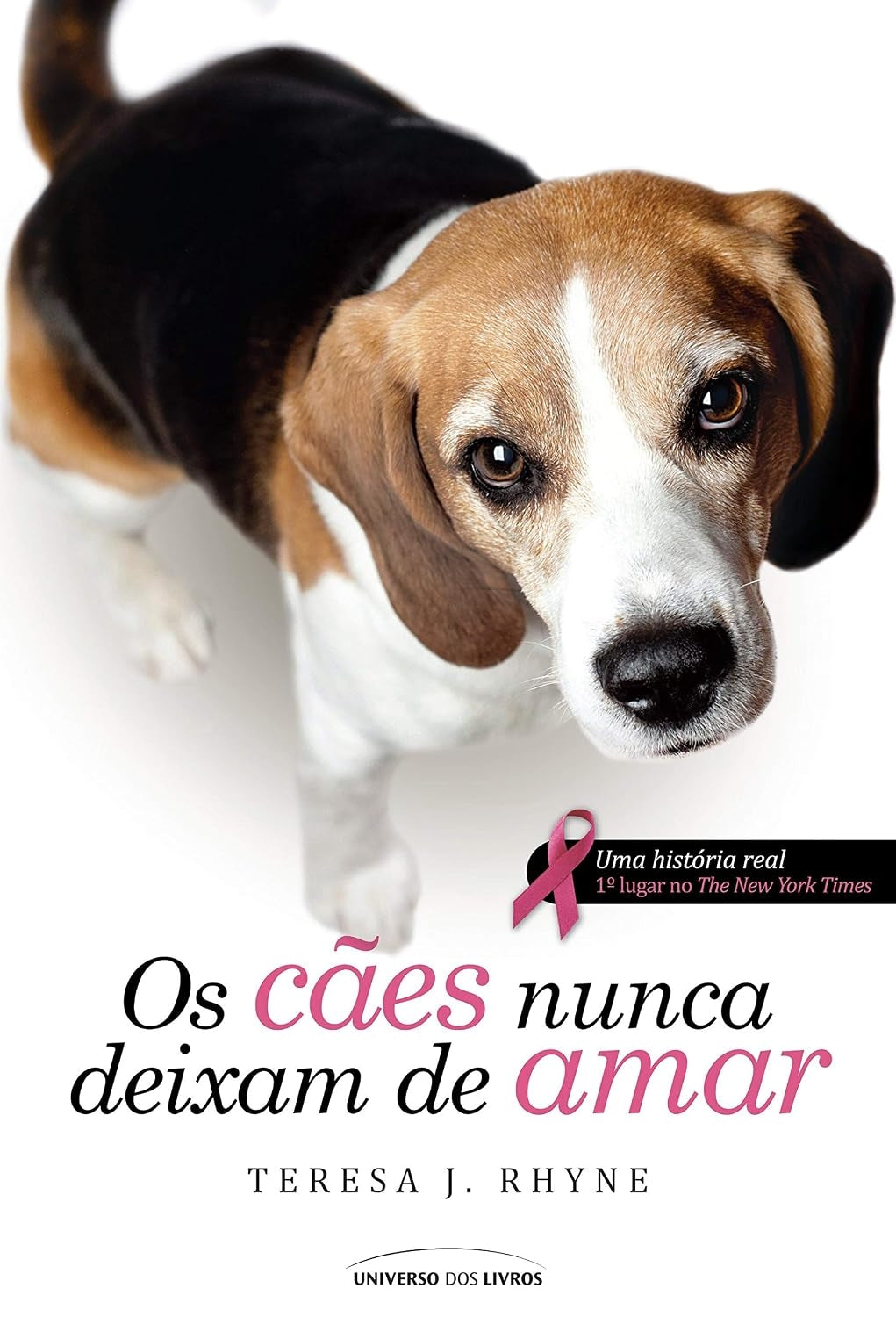 Cães Nunca Deixam de Amar