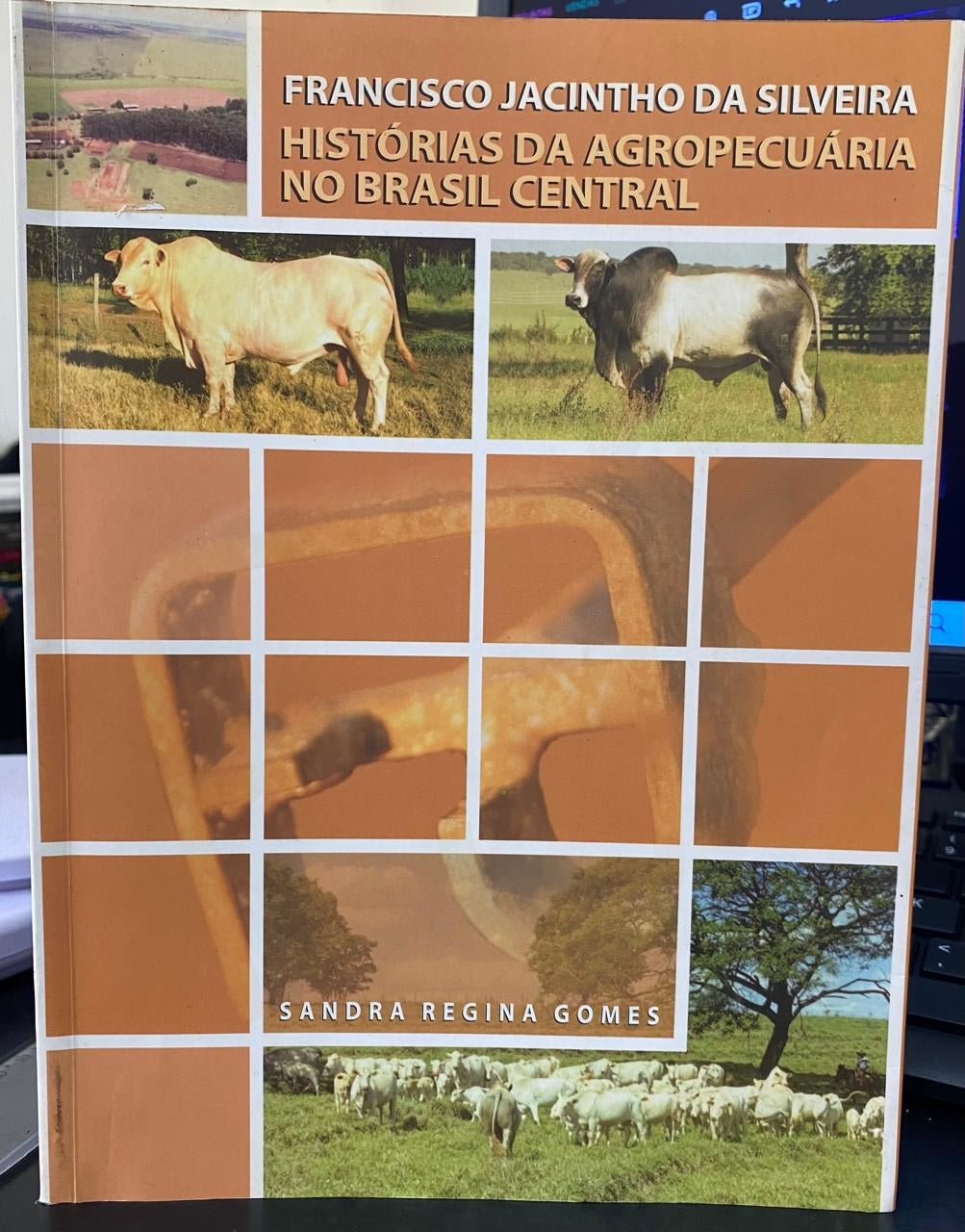 Francisco Jacintho da Silveira :histórias da Agropecuária no Brasil Central