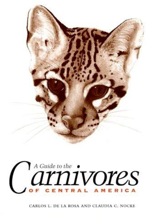 A Guide To The Carnivores Of Central America