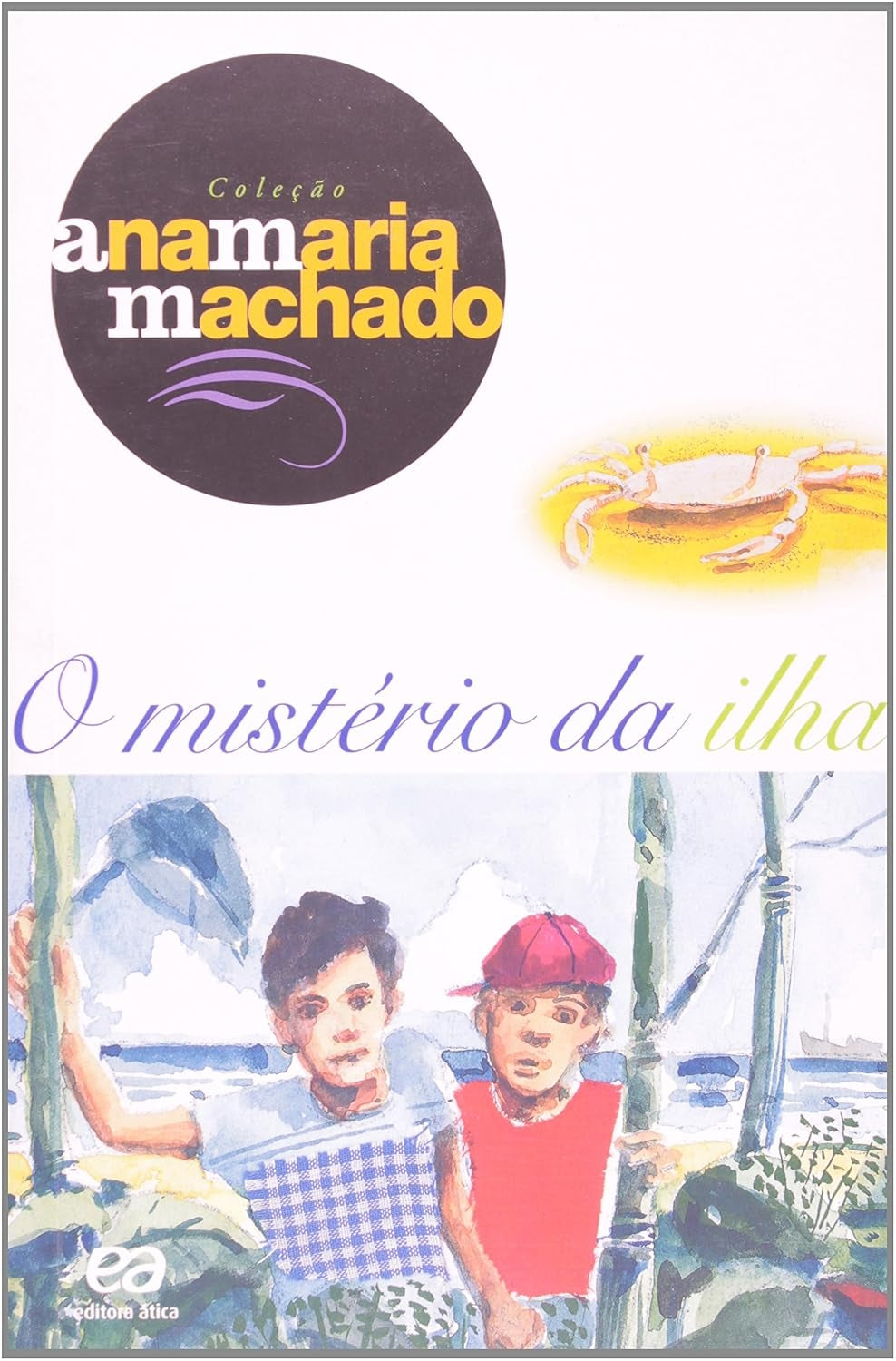 O Mistério da Ilha(coleção Ana Maria Machado)