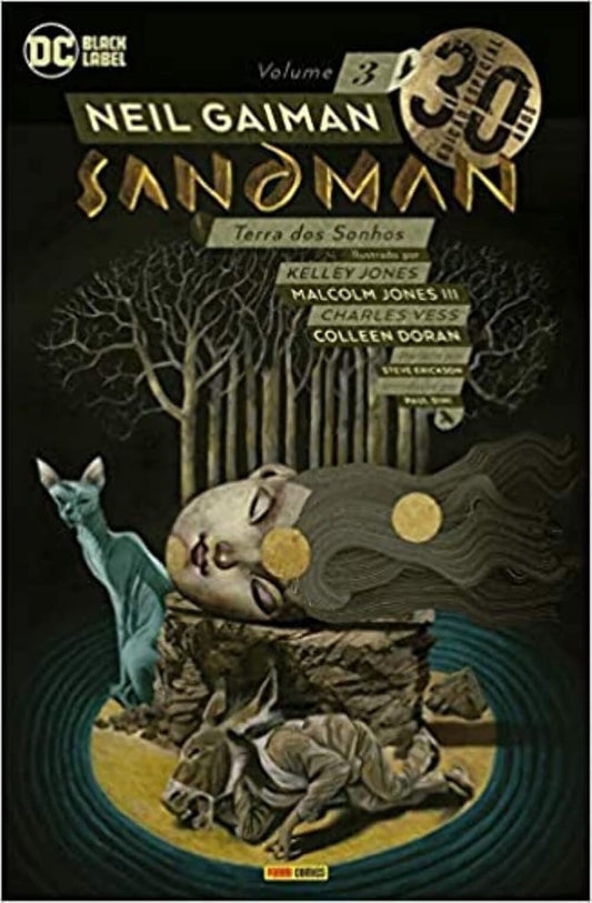 Sandman (coleção: Sandman - Vol.3)
